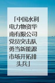 中国水利电力物资华南有限公司党员突击队勇当新能源市场开拓排头兵
