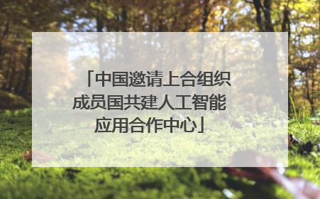 中国邀请上合组织成员国共建人工智能应用合作中心