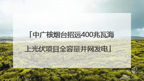 中广核烟台招远400兆瓦海上光伏项目全容量并网发电