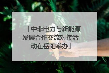 中非电力与新能源发展合作交流对接活动在岳阳举办