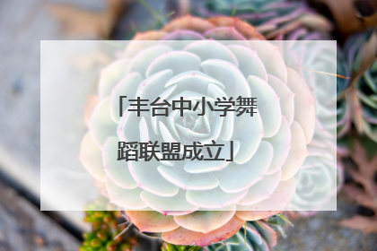 丰台中小学舞蹈联盟成立