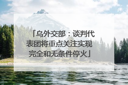 乌外交部：谈判代表团将重点关注实现完全和无条件停火