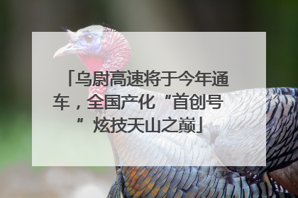 乌尉高速将于今年通车，全国产化“首创号”炫技天山之巅