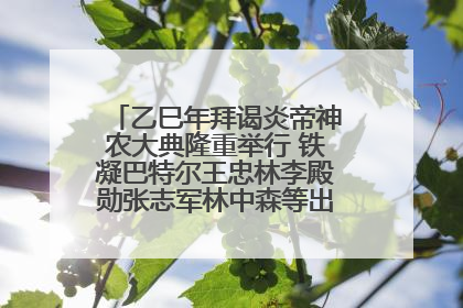 乙巳年拜谒炎帝神农大典隆重举行 铁凝巴特尔王忠林李殿勋张志军林中森等出席 孙伟主持