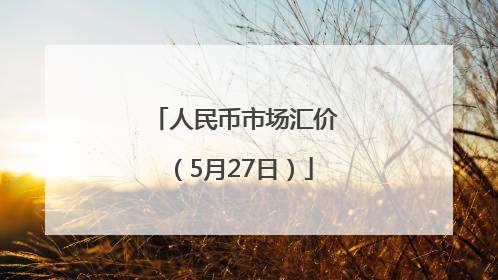 人民币市场汇价（5月27日）