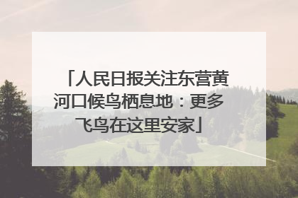 人民日报关注东营黄河口候鸟栖息地：更多飞鸟在这里安家
