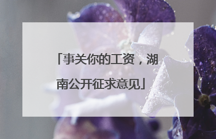 事关你的工资，湖南公开征求意见