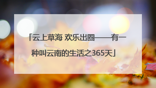 云上草海 欢乐出圈——有一种叫云南的生活之365天