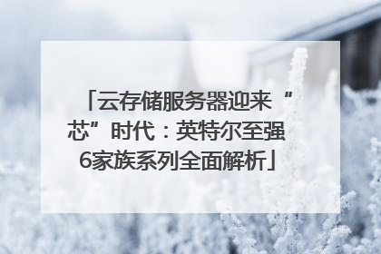 云存储服务器迎来“芯”时代：英特尔至强6家族系列全面解析