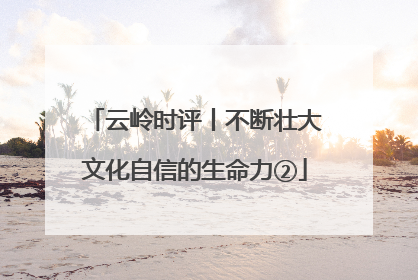 云岭时评丨不断壮大文化自信的生命力②