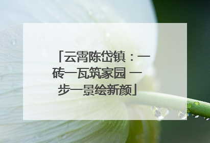 云霄陈岱镇：一砖一瓦筑家园 一步一景绘新颜