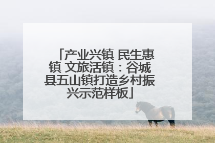 产业兴镇 民生惠镇 文旅活镇：谷城县五山镇打造乡村振兴示范样板