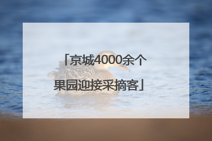 京城4000余个果园迎接采摘客