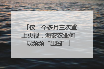 仅一个多月三次登上央视，海安农业何以频频“出圈”