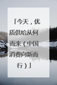 今天，优质供给从何而来（中国消费向新而行）