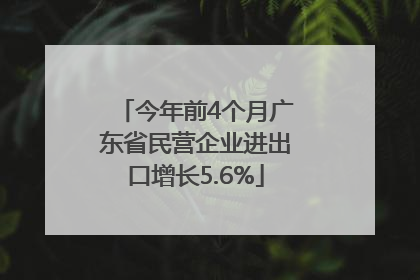 今年前4个月广东省民营企业进出口增长5.6%