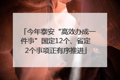今年泰安“高效办成一件事”国定12个、省定2个事项正有序推进