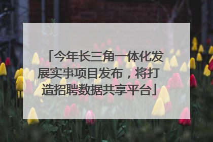 今年长三角一体化发展实事项目发布，将打造招聘数据共享平台