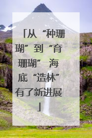 从“种珊瑚”到“育珊瑚” 海底“造林”有了新进展