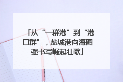 从“一群港”到“港口群”，盐城港向海图强书写崛起壮歌