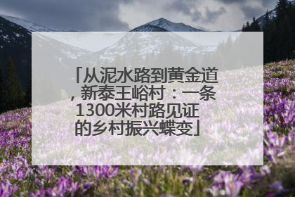 从泥水路到黄金道，新泰王峪村：一条1300米村路见证的乡村振兴蝶变