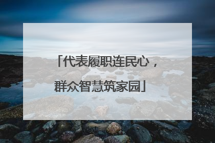 代表履职连民心，群众智慧筑家园