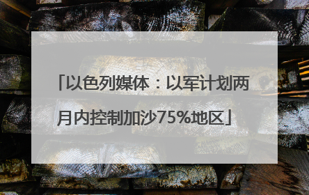 以色列媒体：以军计划两月内控制加沙75%地区