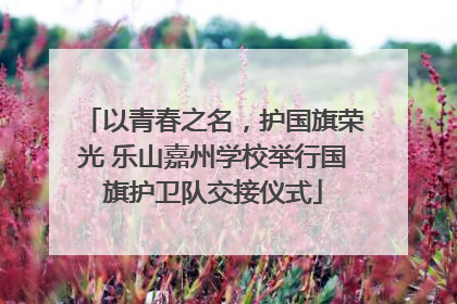 以青春之名，护国旗荣光 乐山嘉州学校举行国旗护卫队交接仪式