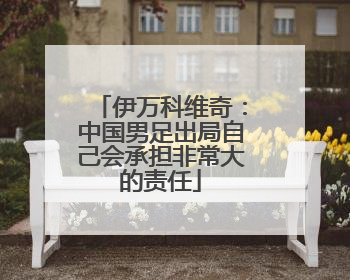 伊万科维奇：中国男足出局自己会承担非常大的责任