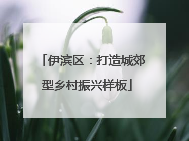 伊滨区：打造城郊型乡村振兴样板