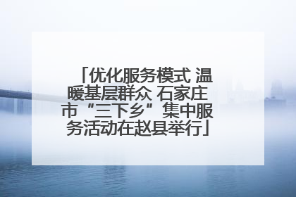 优化服务模式 温暖基层群众 石家庄市“三下乡”集中服务活动在赵县举行