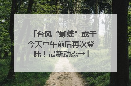台风“蝴蝶”或于今天中午前后再次登陆！最新动态→