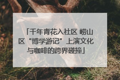 千年青花入社区 崂山区“博学游记”上演文化与咖啡的跨界碰撞