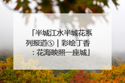半城江水半城花系列报道⑤｜彩绘丁香：花海映照一座城