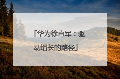 华为徐直军：驱动增长的路径