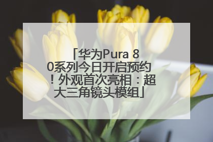华为Pura 80系列今日开启预约！外观首次亮相：超大三角镜头模组