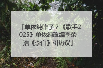 单依纯咋了？《歌手2025》单依纯改编李荣浩《李白》引热议