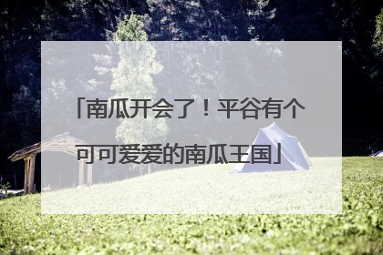 南瓜开会了！平谷有个可可爱爱的南瓜王国