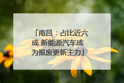 南昌:占比近六成 新能源汽车成为报废更新主力