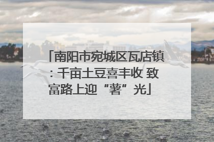 南阳市宛城区瓦店镇：千亩土豆喜丰收 致富路上迎“薯”光