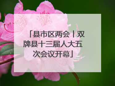 县市区两会丨双牌县十三届人大五次会议开幕