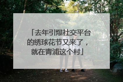去年引爆社交平台的绣球花节又来了，就在青浦这个村