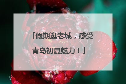 假期逛老城，感受青岛初夏魅力！