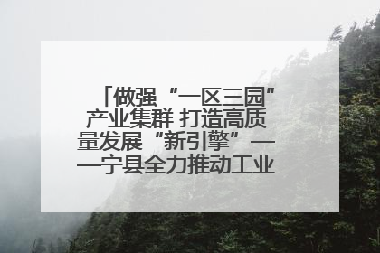 做强“一区三园”产业集群 打造高质量发展“新引擎”——宁县全力推动工业经济提质增效