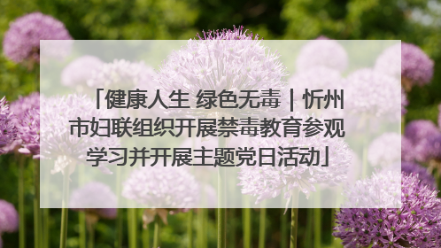 健康人生 绿色无毒｜忻州市妇联组织开展禁毒教育参观学习并开展主题党日活动