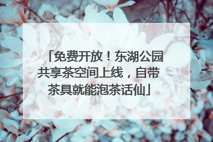 免费开放！东湖公园共享茶空间上线，自带茶具就能泡茶话仙
