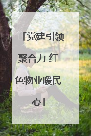 党建引领聚合力 红色物业暖民心