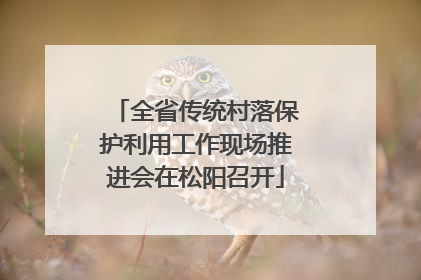 全省传统村落保护利用工作现场推进会在松阳召开