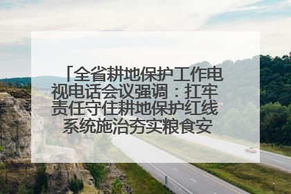 全省耕地保护工作电视电话会议强调：扛牢责任守住耕地保护红线 系统施治夯实粮食安全根基 王宁作出批示 王予波出席并讲话