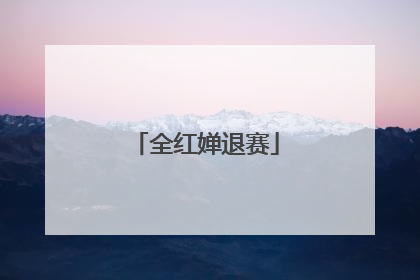 全红婵退赛